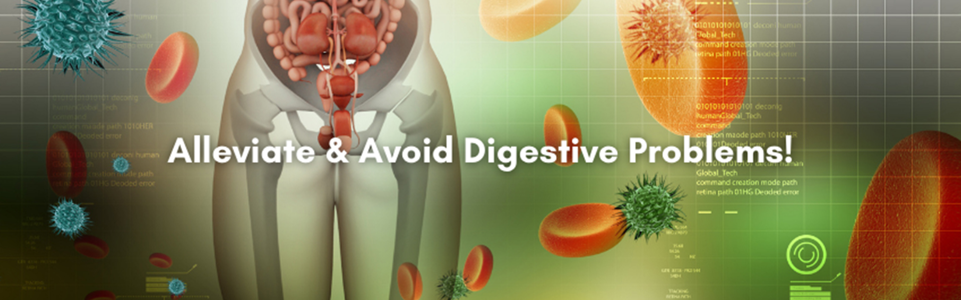 Alleviate & Avoid Digestive Problems