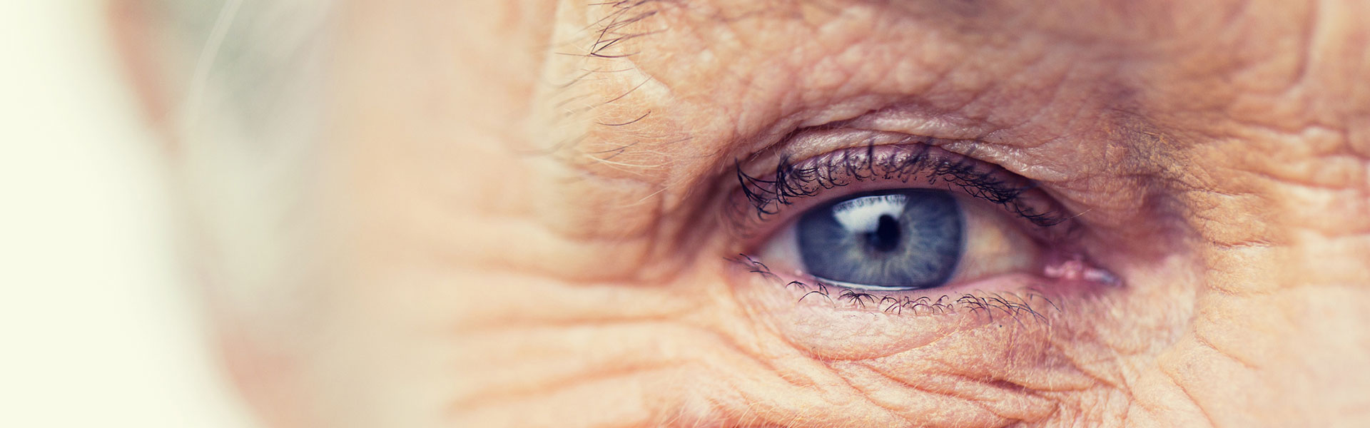 How Body20 EMS Training Can Help You Stay Strong and Healthy as You Get Older