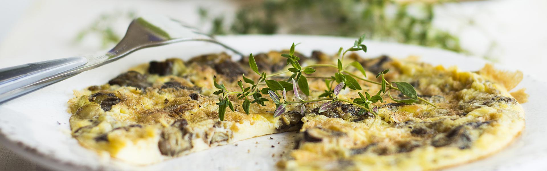 Veggie Omelet