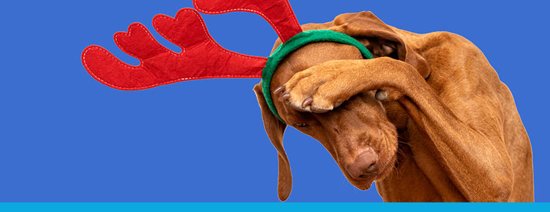 Have a stress free silly season