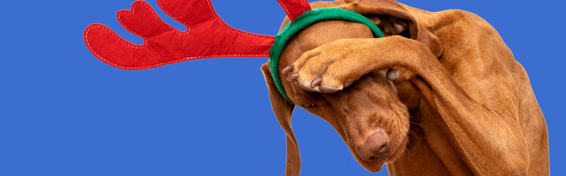 Have a stress free silly season