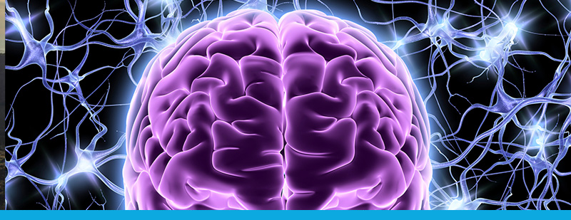 The Connection Between Nutrition and Mental Health
