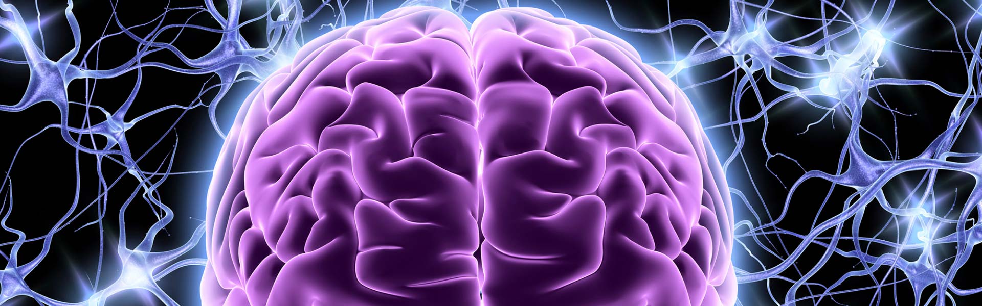 The Connection Between Nutrition and Mental Health
